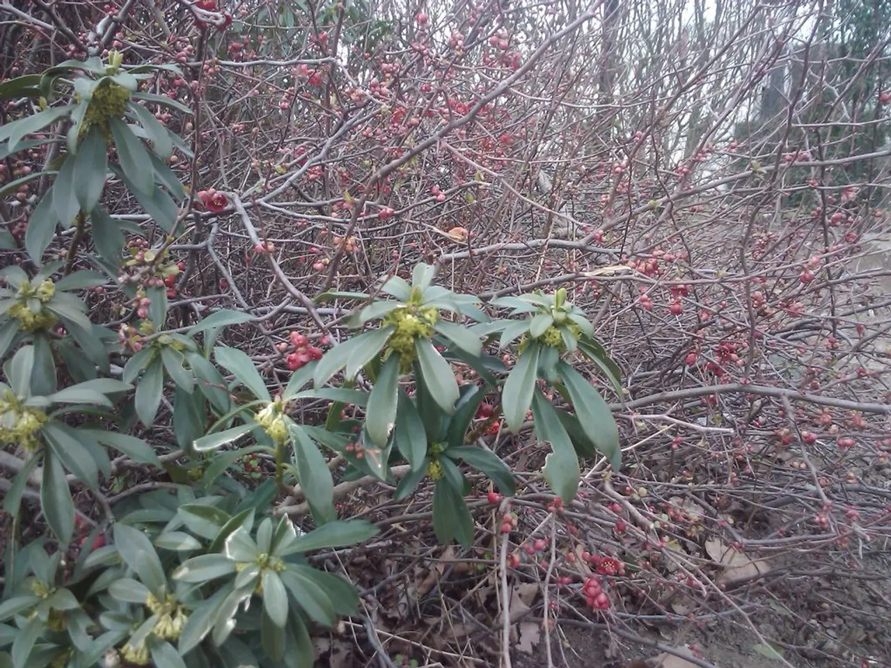 Right-Sided Headache: Origin, Significance, and Strategies for Immediate Relief