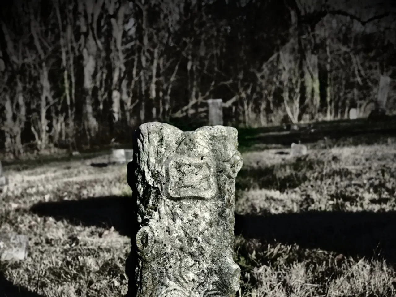 Timothy Walker's Recent Controversial Actions