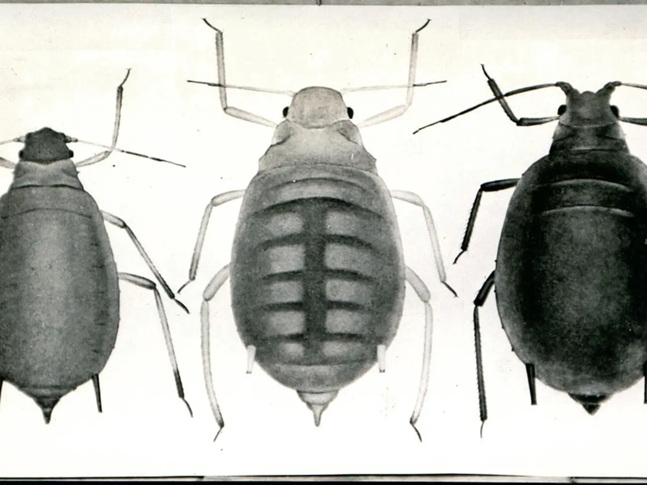 Travellers Advised of Potential Sloth-Virus Exposure from Regions in South America and the...
