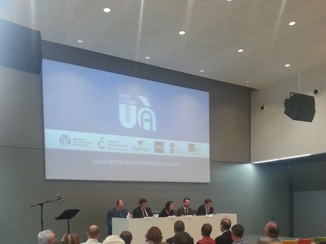 Schizophrenia Classifications: An Examination of Their Continued Relevance