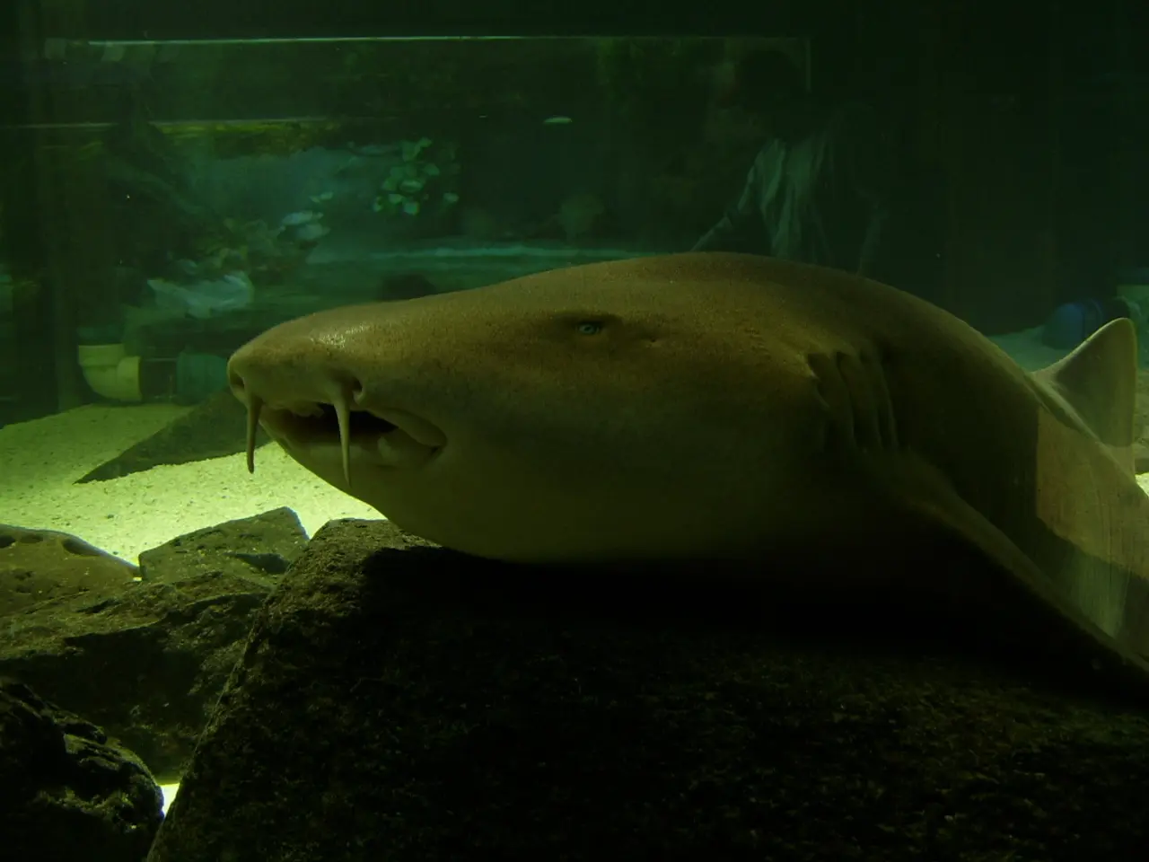 Importance of Frequent Filter Swaps for Your Oxygen Concentrator's Proper Functioning