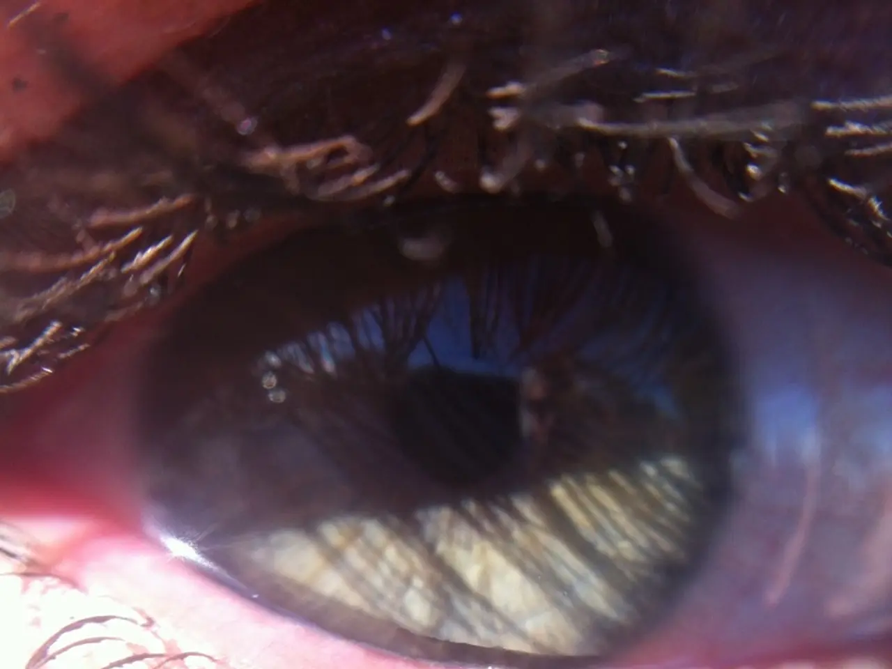 Safe Eyelash Enhancement for Sensitive Peepers: Discovering the Suitable Product for Your Eyes