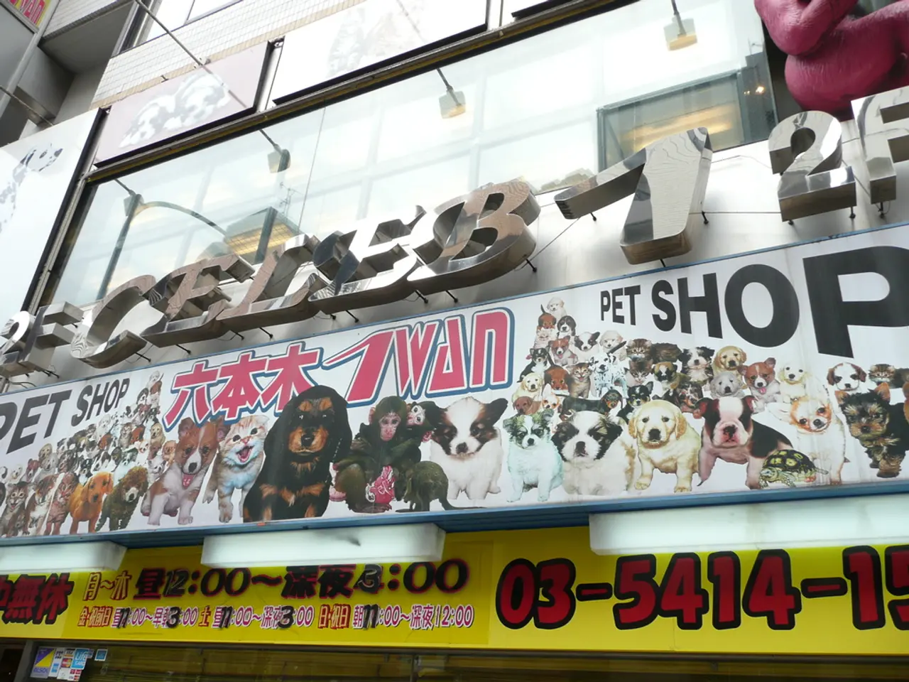 Research reveals potential link between living in certain neighborhoods and increased dementia risk