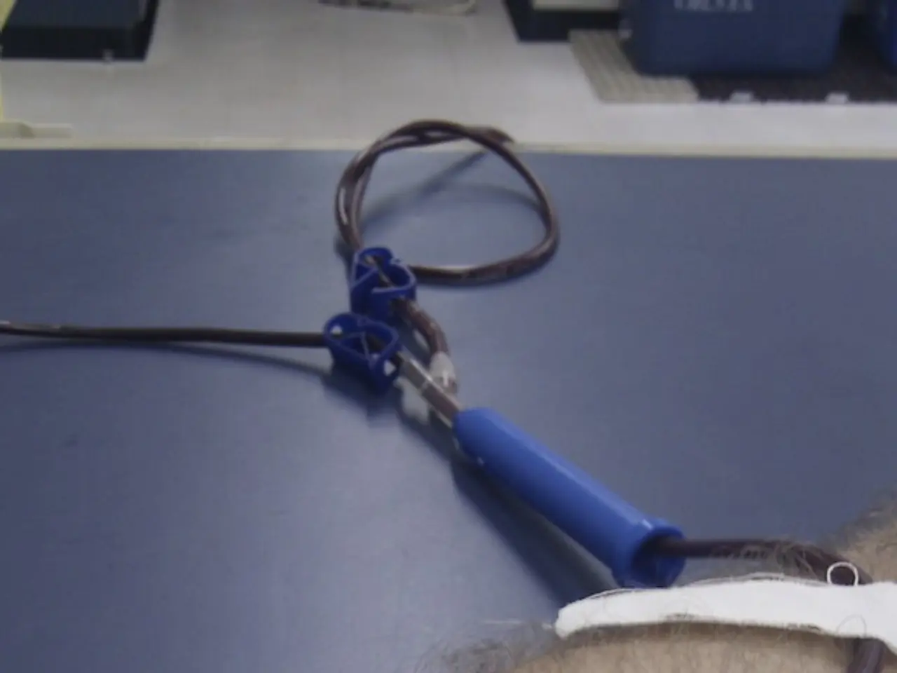 Routine Blood Tests for Diabetes, Liver, and Kidney Health Recommendations from Your Physician