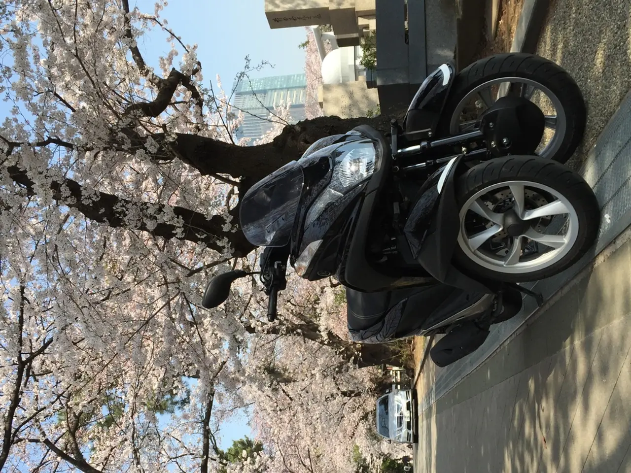 Impact of Bipolar Disorder During Seasonal Transitions: Exploring Potential Impacts and Beyond