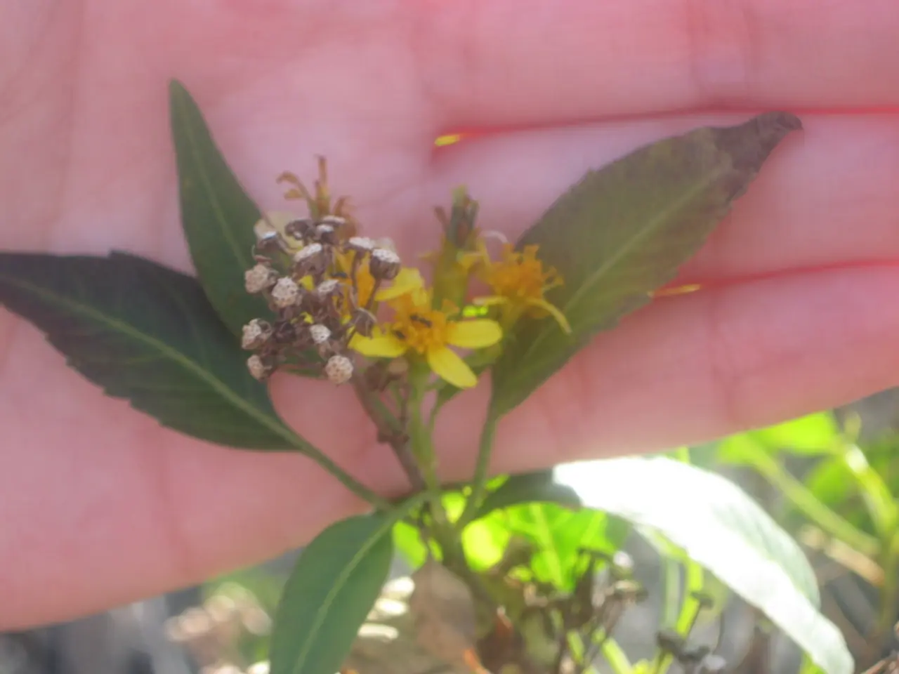 Unveiling the Underlying Disadvantages of Earbuds: Disclosing the Silent Reality