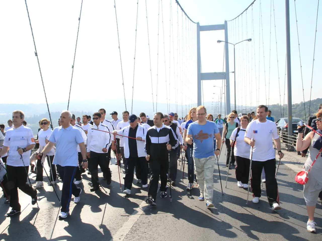 Elderly Individuals and the Importance of Using a Canes for Mobility