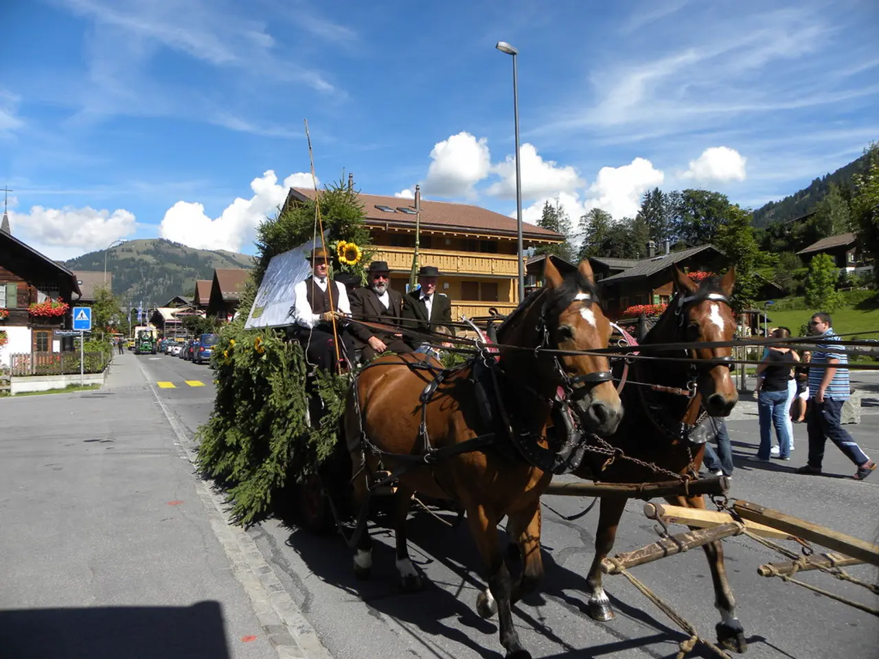 Stricken carriage horse 'Lady' succumbs to demise in Hell's Kitchen according to authorities.