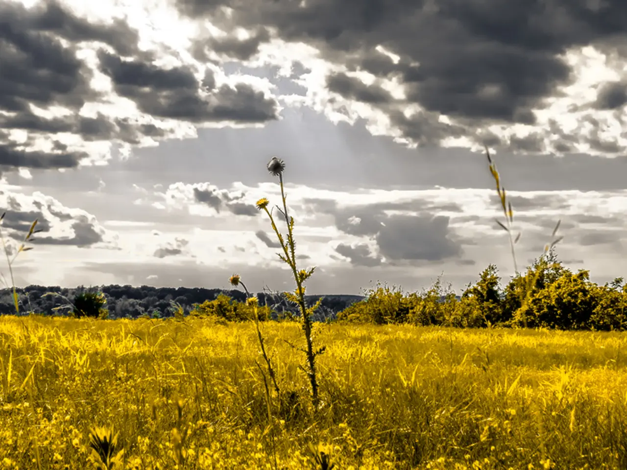 Darkness under threat: Astronomers unveil strategies to safeguard Earth's darkest skies from light...