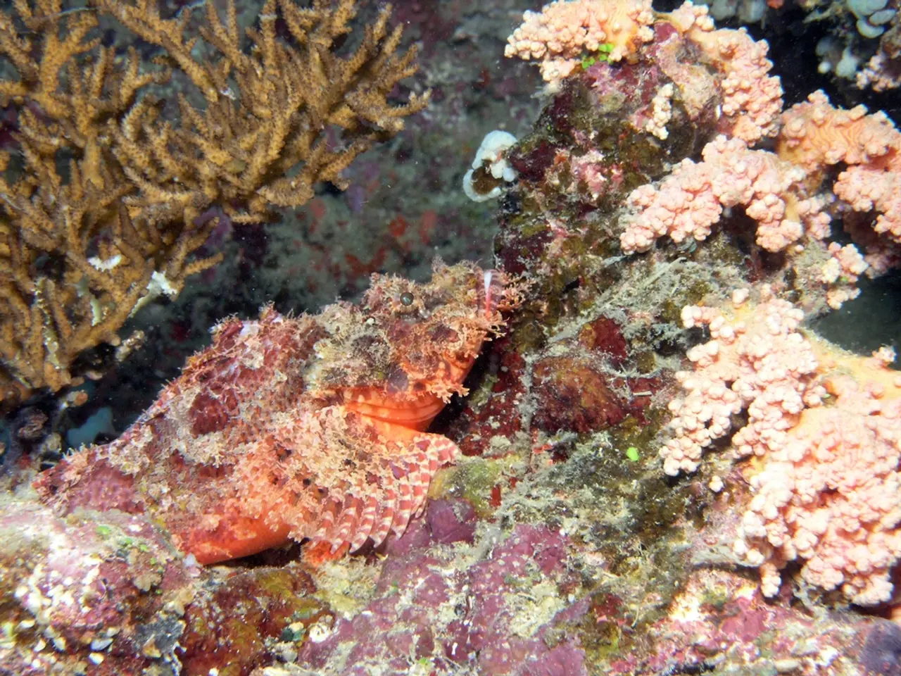 Mediterranean Sea Facing Overwhelming Infiltration by Invasive Marine Life, Scientists Alert!