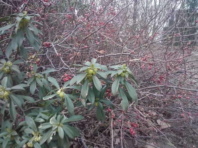 Right-Sided Headache: Origin, Significance, and Strategies for Immediate Relief