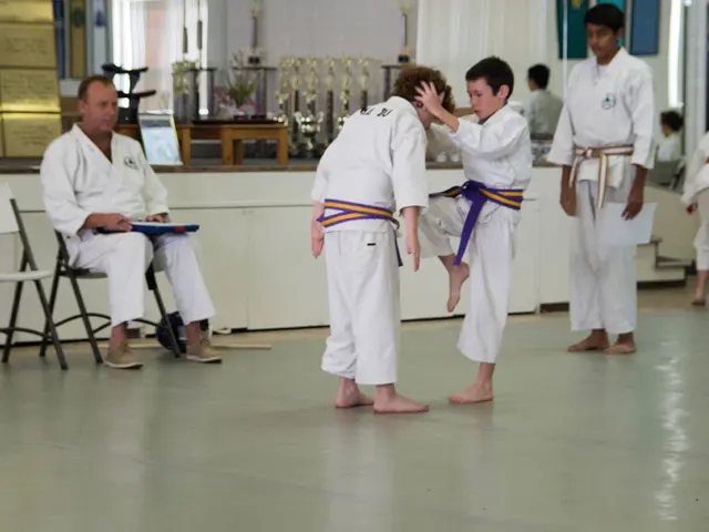 Hanoi Puzzle Examination: Understanding Its Nature and Its Assessed Capabilities