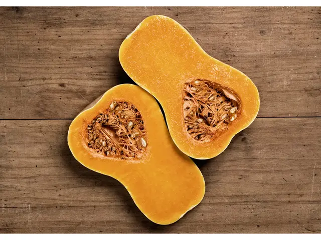 Benefits, Applications, and Potential Risks of Butternut Squash: A Comprehensive Overview