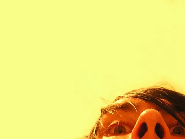 Nose Vacuity Syndrome: Comprehension of Causes, Characteristic Symptoms, and Therapeutic Methods