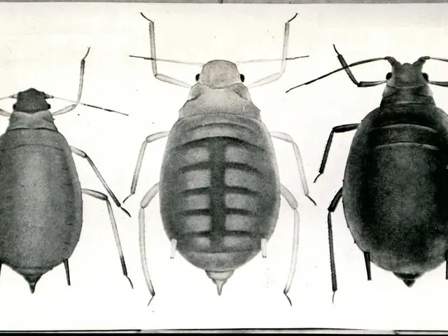 Travellers Advised of Potential Sloth-Virus Exposure from Regions in South America and the...