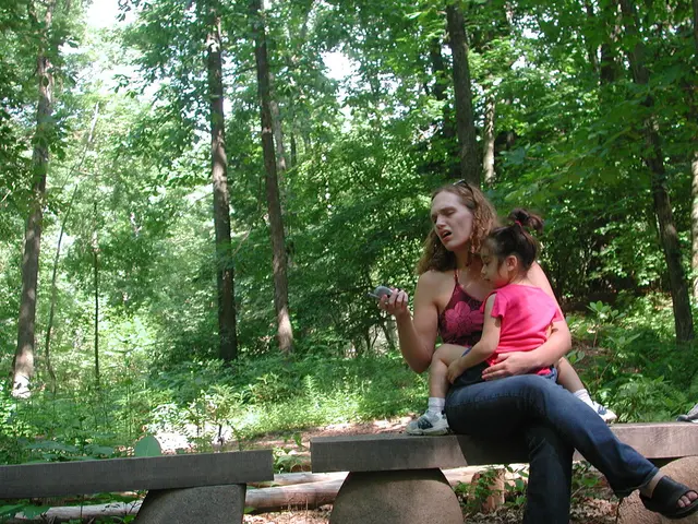 Utilizing Chiropractic Adjustments for Alleviating Pregnancy-Related Discomforts