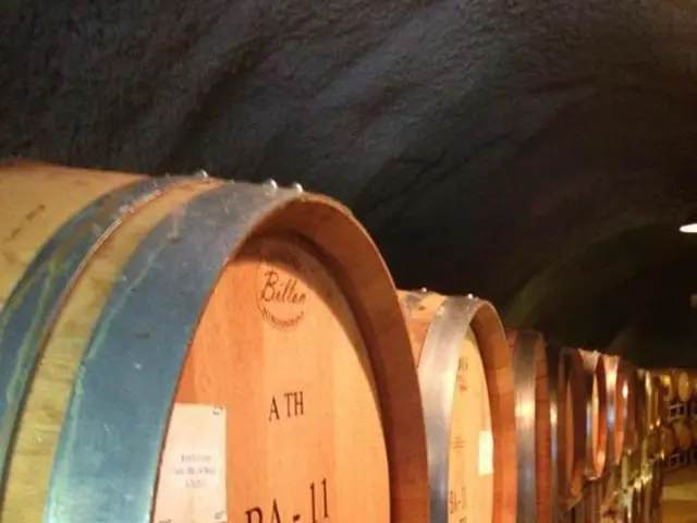 Tarsal Tunnel Syndrome: Remedies, Workouts, and Potential Issues