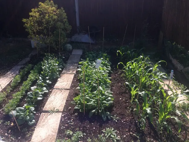 Lego-based Plant Growth Simulation Model