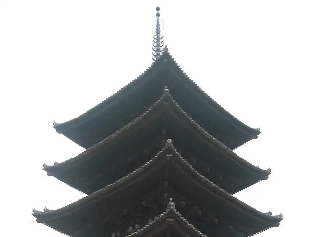 Rising prices observed as China eases COVID-19 restrictions