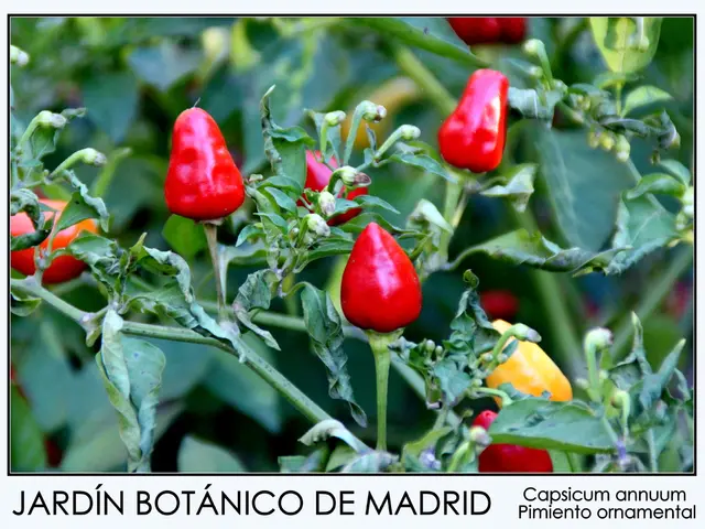 Identifying and Managing Skin Irritants from Garden Plants: A Guide to Common Allergens in Your...