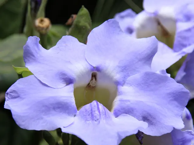 Understanding Dawn Phenomenon: Strategies for Lowering Elevated Early Morning Blood Sugars