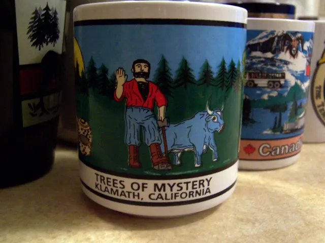 Menstrual Cups - A Suitable Option for Some?