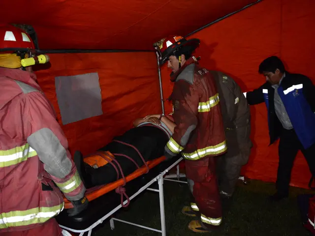 Coleman voluntarily pulls back 228,000 camping cots from the market