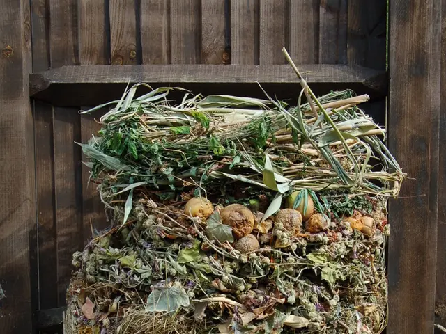 Practical Strategies for Minimizing Formaldehyde Exposure