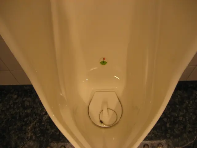 Urinating post coitus: Advantages, UTI avoidance, and further insights