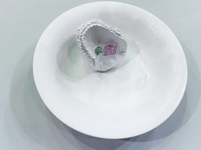 Medicare and Dental Coverage, Limitations, and Obligations Explained