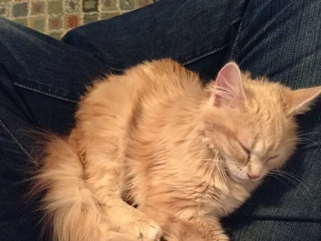 Myoclonus during sleep: Description, triggers, and remedies