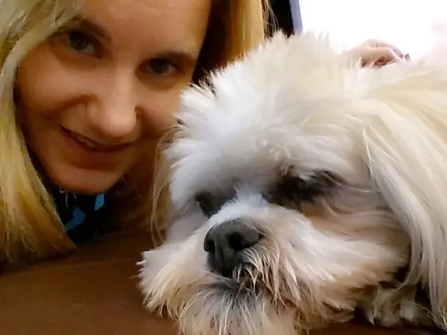 Exploring the Advantages of a Bipolar Service Dog: Choosing the Ideal Breed for Support