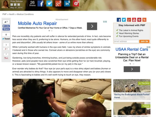 Human Body Crossword Solution: Giant Organ - Clue 9