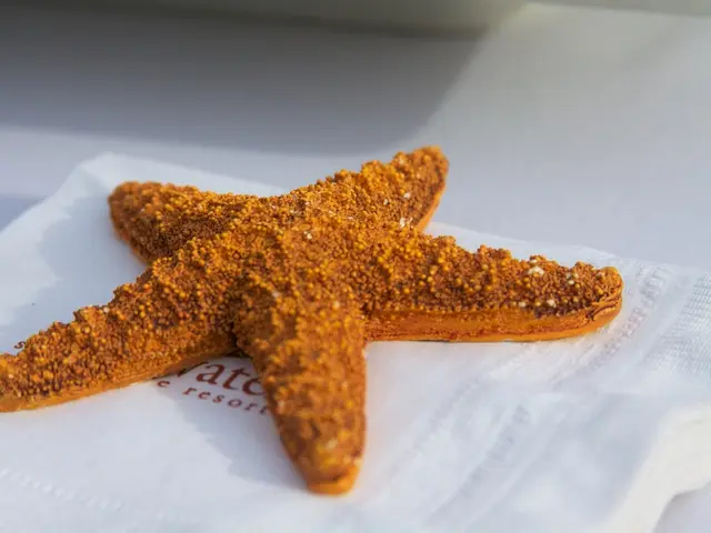 Investigation Delves into the Connection between Alcohol Consumption and Calcium's Impact on Colon...