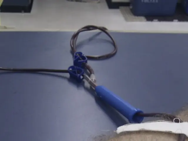 Initial Experience at a Medical Spa: Anticipated Procedures and Outcomes