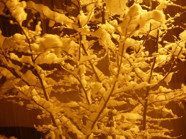 Chest pain accompanied by dry cough: Possible causes and remedies