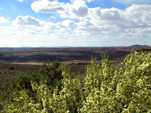 Titan, Saturn's moon resembling Earth, might be crafting structures akin to cells within its alien...