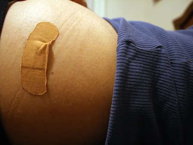 Decrease in Breast Cancer Mortality through Screening Measures