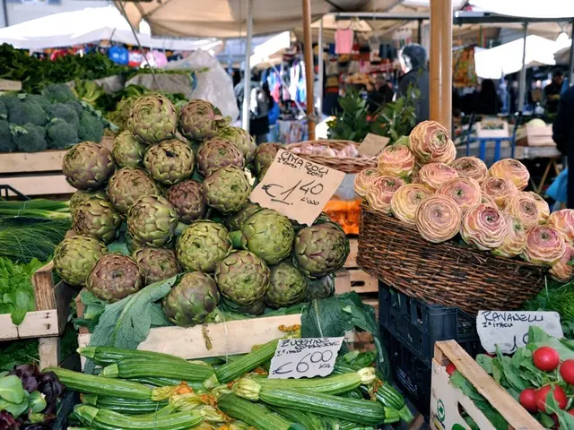 Health Drive in Magadan Region Surpasses the Equator During Summer Season