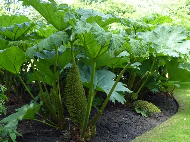 Restoring Soil Nitrogen Levels: Using Companion Planting for Nutrient Enrichment