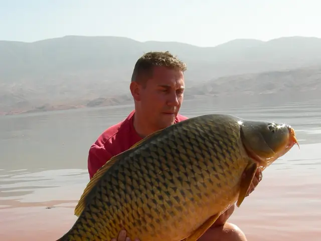 Enhancing Lifespan: Strategies for 2025