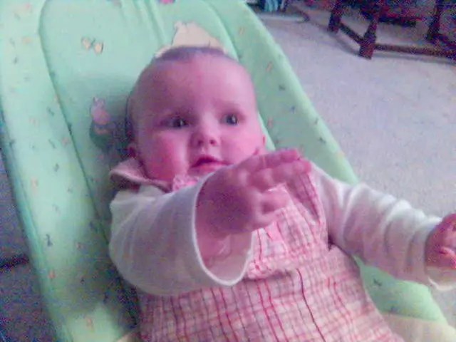 Decline in birth rate reaches 1.35 offspring per female adult