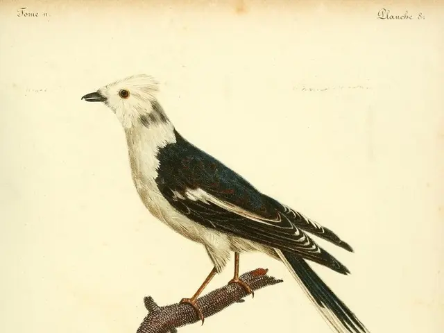 Negativity's Impact on Human Survival: An Examination of Evolutionary Perspectivism