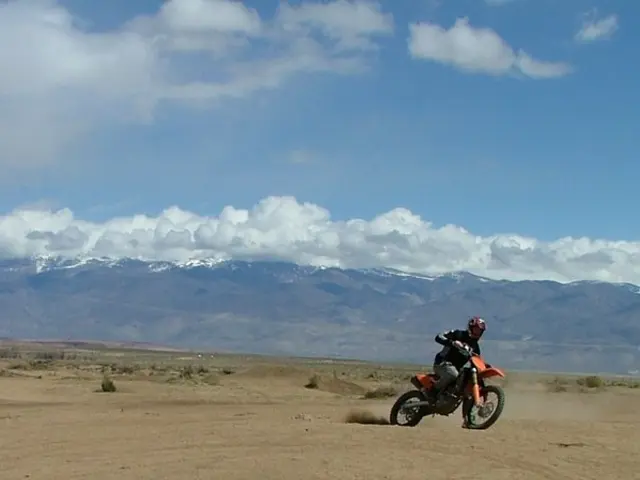 Exploring the Testosterone-Libido Connection: augmenting your sexual desire organically