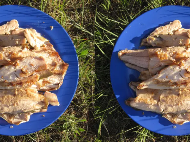 Controversy Surrounds the Expansion of Artificially Produced Meat Products