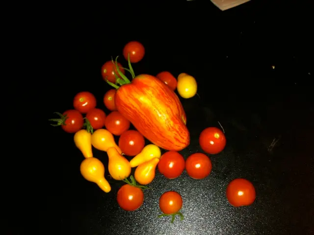 DIY Fruit Snacks: A Homemade Option for Healthier Treats