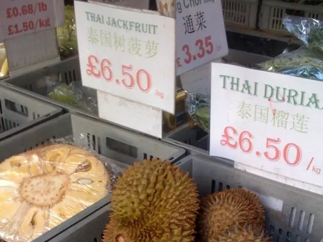 Strengthening the cell therapy supply chain in Europe through cryopreservation: A key to...