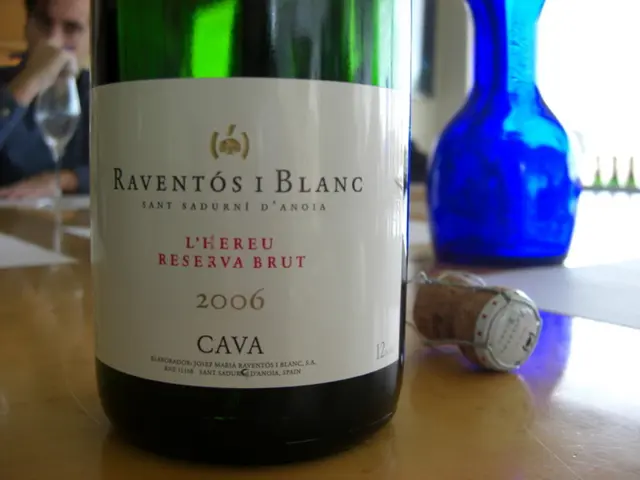 Exploring the Capabilities of Methylene Blue