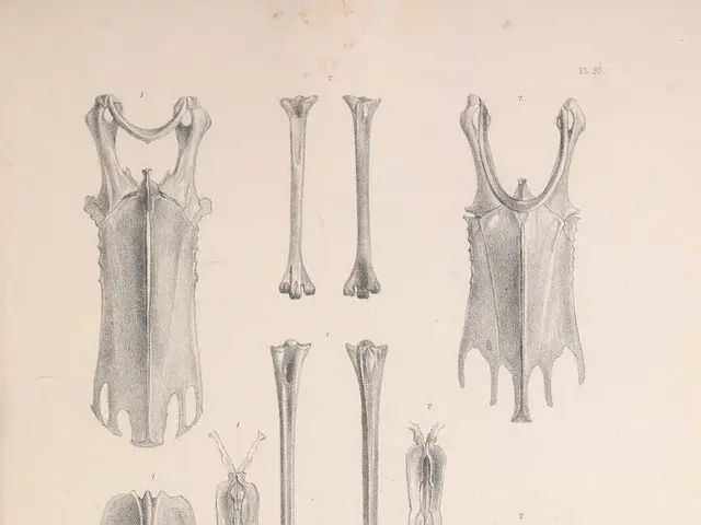 COVID-19 disease has unexpectedly surfaced in an individual.