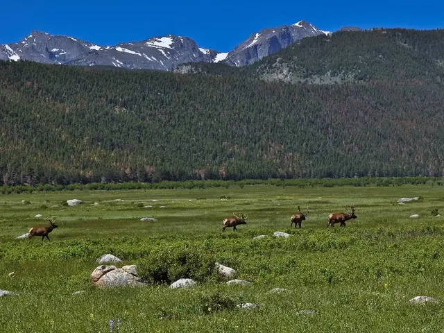 Earth's Shadowed Regions Reshaping Astronomy Guides: A New Perspective on Extraterrestrial Life